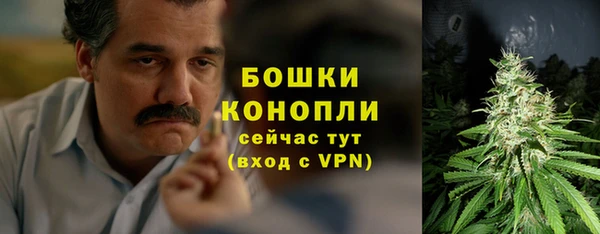 мяу мяу мука Беломорск