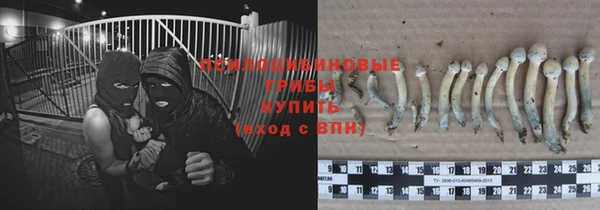 ECSTASY Балабаново