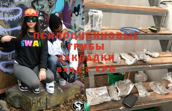 марки lsd Белокуриха
