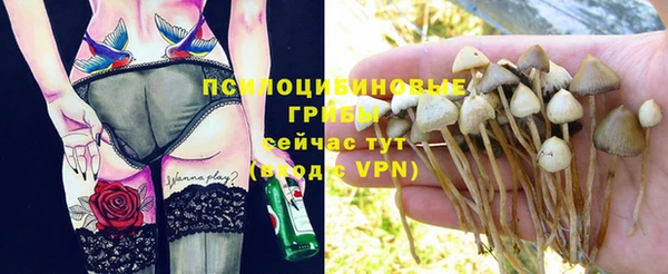 а пвп мука Баксан